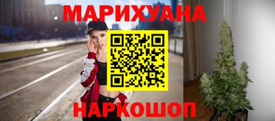 шишки Владимир