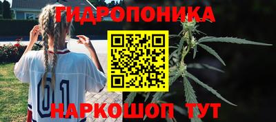 шишки Владимир
