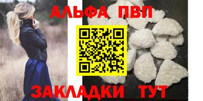 шишки Владимир