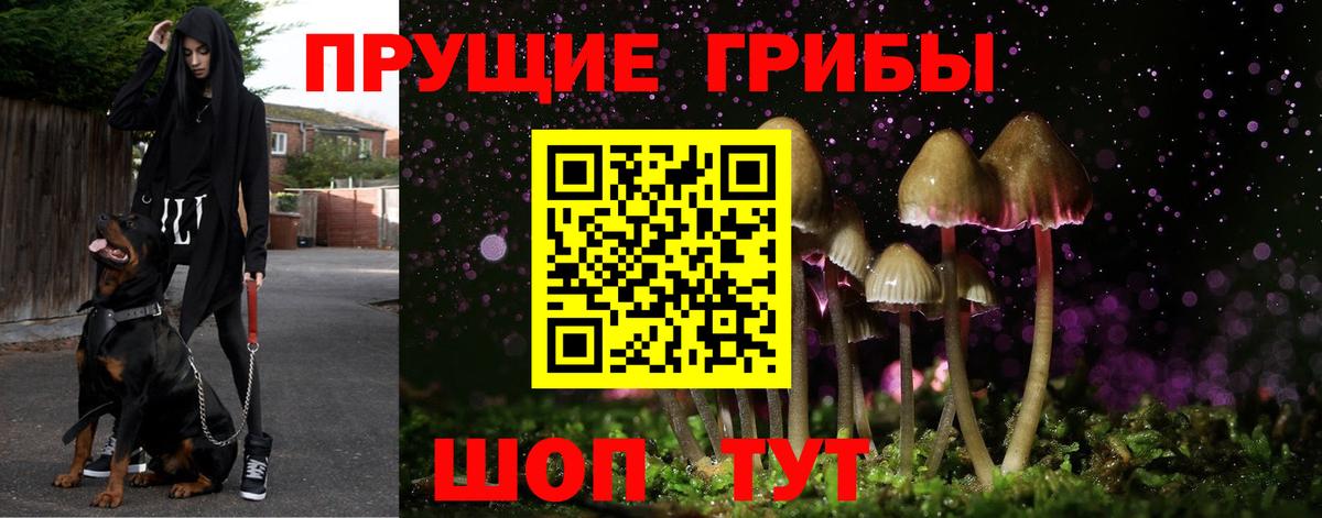 Галлюциногенные грибы GOLDEN TEACHER Котельники