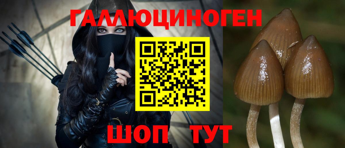 Галлюциногенные грибы ЛСД  Вход с VPN  Котельники  Псилоцибиновые грибы прущие грибы 